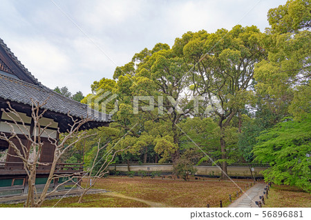 Kyoto Seirin-in Temple and front yard 56896881