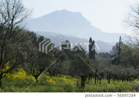 Sant Victoire Mountain Sant Victoire Mountain 56897284