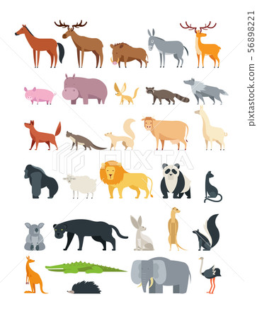 Cute cartoon animals. Forest, savannah and farm animal vector collection isolated on white 56898221