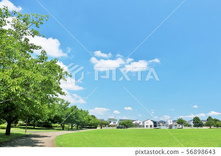 Summer blue sky and park landscape Summer blue sky and park landscape 56898643