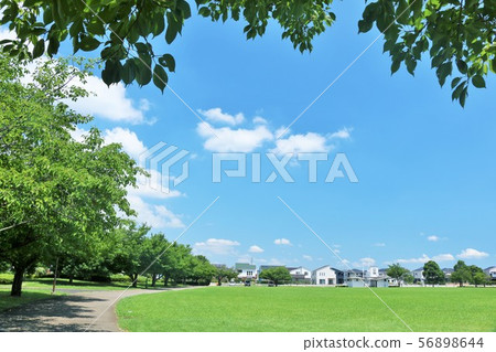 夏天藍天和公園風景 夏天藍天和公園風景 56898644
