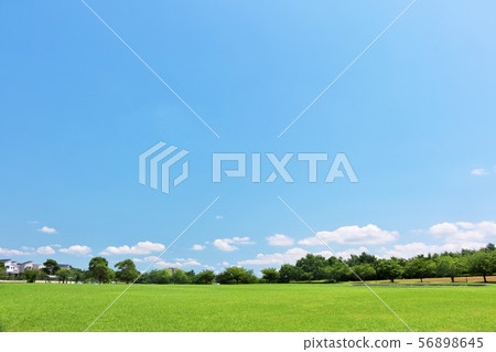 夏天藍天和美麗的公園正方形 夏天藍天和美麗的公園正方形 56898645