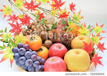 Many tastes of autumn Many tastes of autumn 56898668