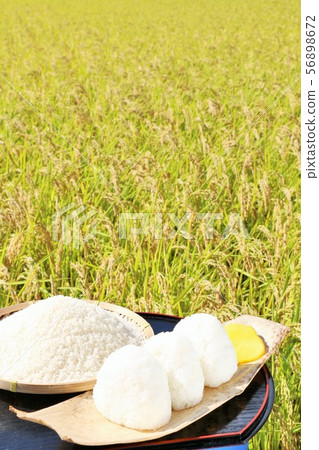 秋天米領域和碗米飯糰 秋天米領域和碗米飯糰 56898672