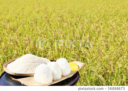 秋天米領域和碗米飯糰 56898673