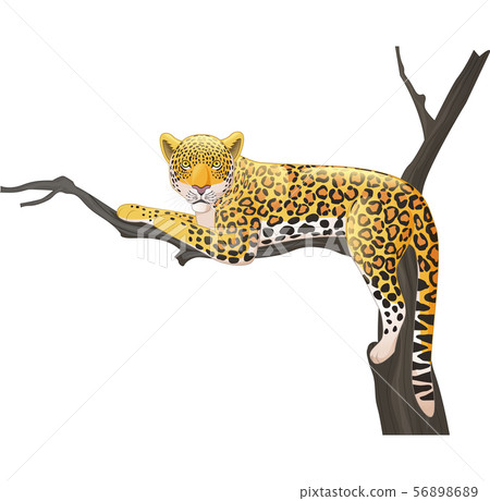 Cartoon leopard lying on a tree branch 56898689
