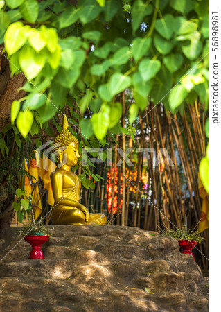 Beautiful of Buddha statue Under the Bodhi tree at 56898981