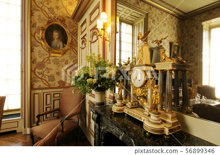 Cheverny Castle 56899346