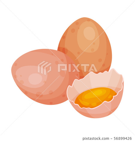 Raw eggs. Vector illustration on a white background. 56899426