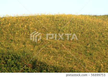 Yuusuge Hill Yuusuge Hill 56899753