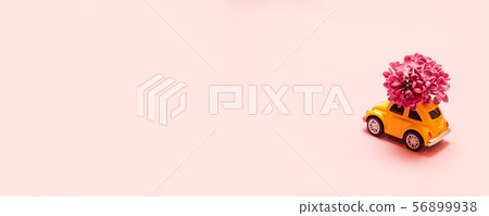 Fresh flowers delivery concept for the holiday. Toy yellow car with lilac flower branch on a pink Fresh flowers delivery concept for the holiday. Toy yellow car with lilac flower branch on a pink 56899938