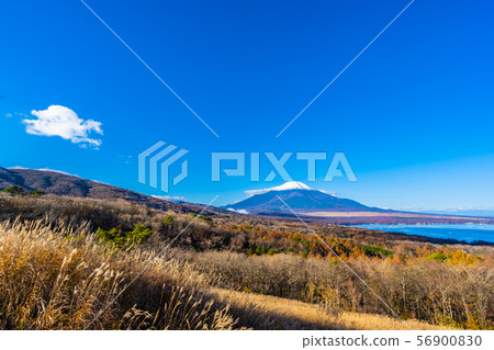 Beautiful fuji mountain in yamanakako or yamanaka lake 56900830