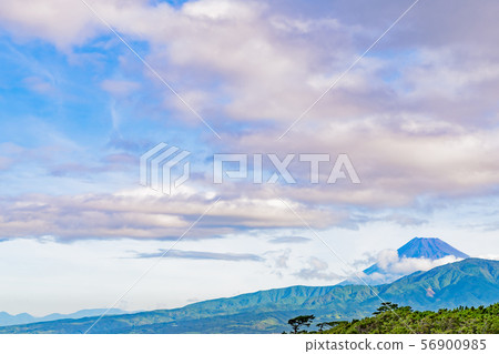 Fuji in the early morning, Senbonhama, Numazu City, Shizuoka Prefecture 56900985