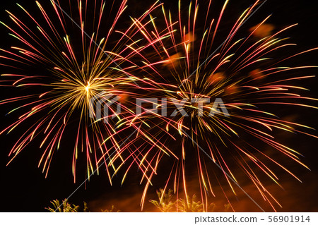 Colorful fireworks in night sky 56901914