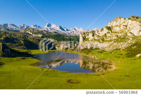Beautiful landscape and lakes of Covadonga, Peaks of Europe 56901968