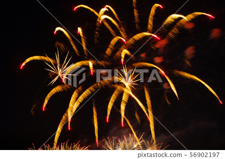 Colorful fireworks in night sky Colorful fireworks in night sky 56902197