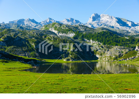 Highland Lakes of Covadonga summer landscape Highland Lakes of Covadonga summer landscape 56902896
