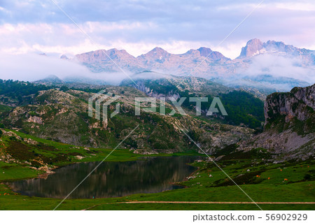 Covadonga mountain landscape with lake at dusk 56902929