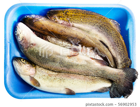Uncooked trout in blue box 56902953