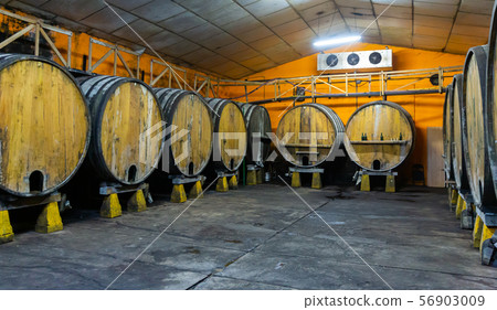 Wooden barrels in rows at contemporary cider actory. Asturias. Spain Wooden barrels in rows at contemporary cider actory. Asturias. Spain 56903009