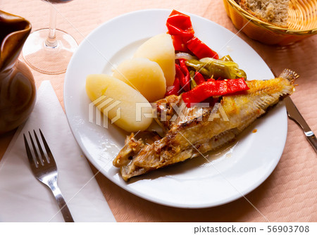 Ballan, wrasse, fish 56903708