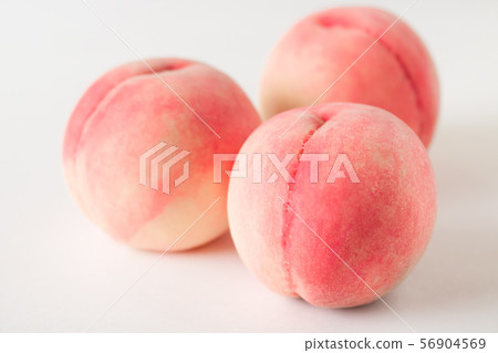 桃子 桃子 56904569