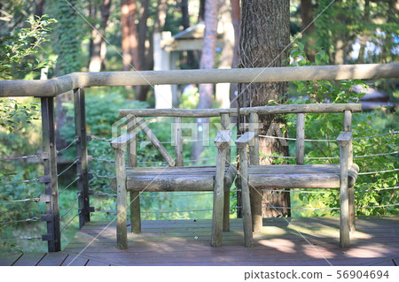 Bench Bench 56904694