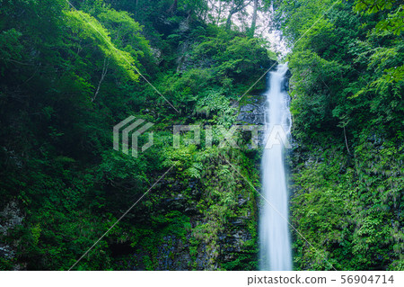 岐阜阿彌陀佛瀑布 56904714