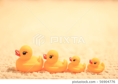 小雞家庭 小雞家庭 56904776