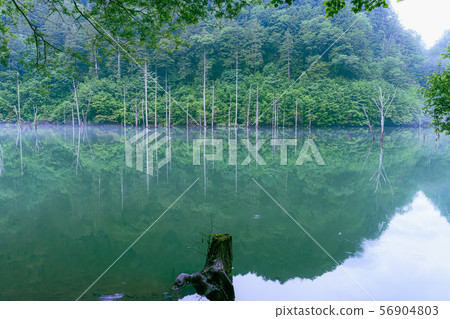 長野 - 天然湖 56904803