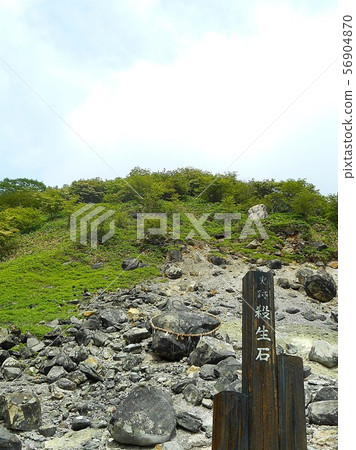 殺石花園殺石 56904870