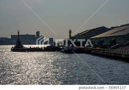 大阪港/大阪港中央碼頭海濱綠色景觀 56905137