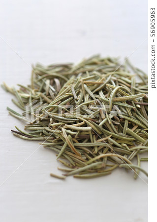 Rosemary Rosemary 56905963