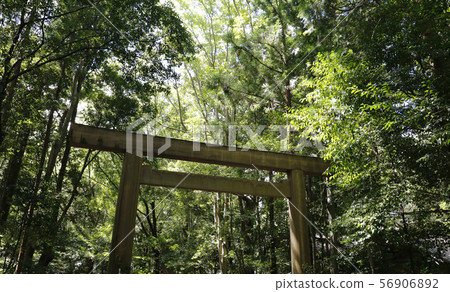 Ise Jingu Shrine 56906892