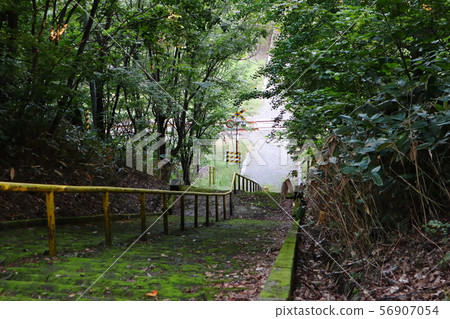 Railroad crossing and stone stairs in the grounds of Urasu Shrine Railroad crossing and stone stairs in the grounds of Urasu Shrine 56907054