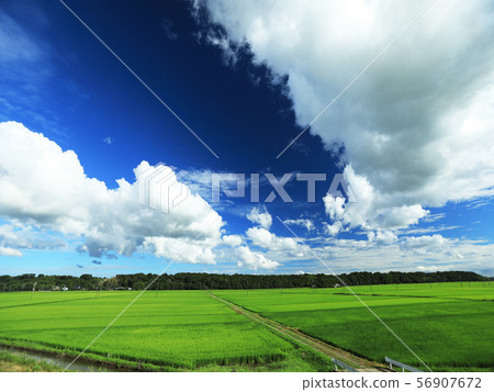 Sky and white clouds after the rainy season 56907672