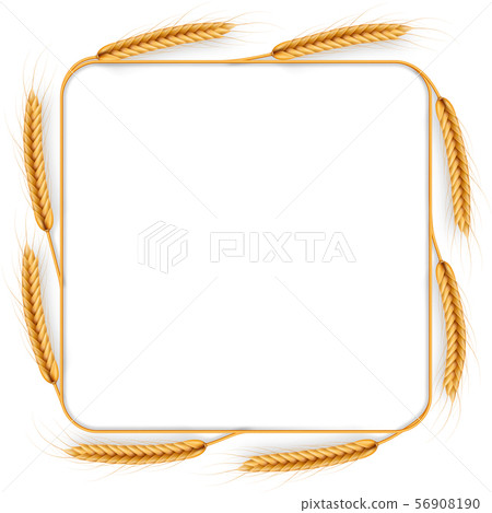 Cereal wheat wreath, isolated on white. Harvest frame template. Agriculture products object. EPS 10 Cereal wheat wreath, isolated on white. Harvest frame template. Agriculture products object. EPS 10 56908190