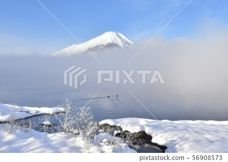 Grass and snowy shores with hoarfrost on Mt. Fuji and Lake Yamanaka Grass and snowy shores with hoarfrost on Mt. Fuji and Lake Yamanaka 56908573