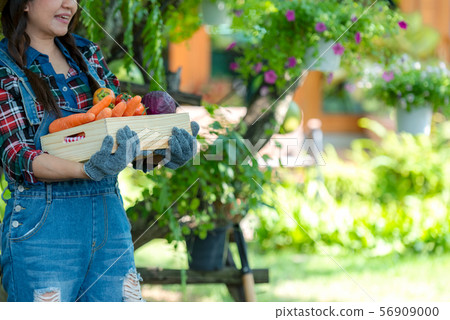 Asian happy women farmer holding a basket 56909000