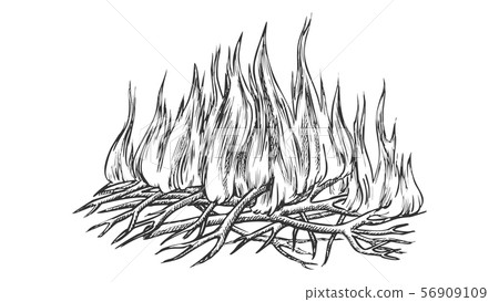 Traditional Burning Camping Fire Monochrome Vector 56909109