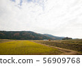 Satoyama的瀑布 56909768