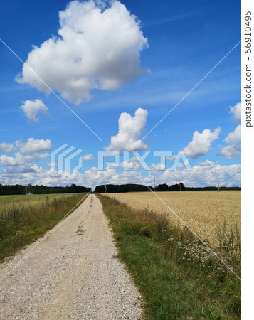 Summer empty country gravel road and clouds 56910495