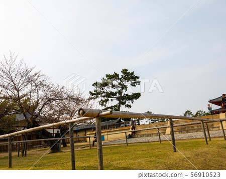 Nara: Wakakusayama 56910523