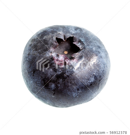 fresh blueberry isolated on white fresh blueberry isolated on white 56912378