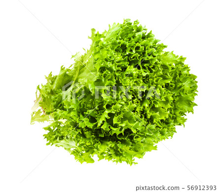 fresh green foliage of Ice leaf lettuce isolated 56912393