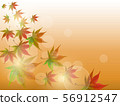 Colored leaves background 56912547