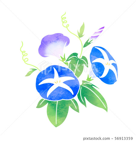 Morning Morning 56913359