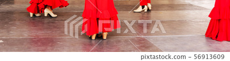 closeup of a typical shoes to the traditional closeup of a typical shoes to the traditional 56913609