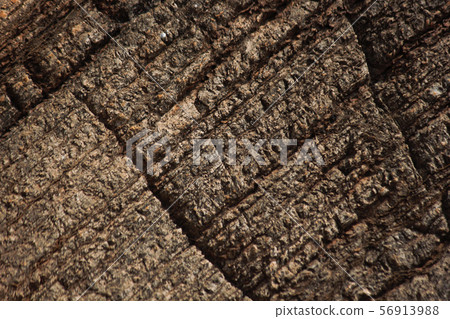Layered Ancient Sedimentary Rock Face Surface 56913988