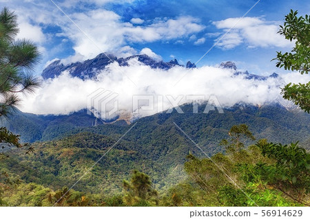 Malaysia Kinabalu Nature Park 56914629